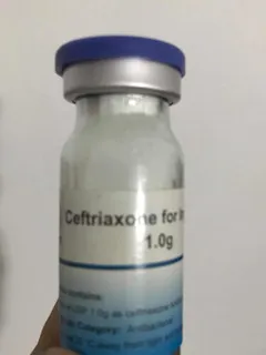 Medicamento ceftriaxona onde comprar